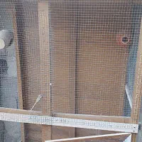 قفس و لانه پرنده|لوازم جانبی حیوانات|ایرانشهر, |دیوار