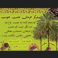 مرکز خرمای دشت جنوب