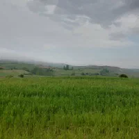 زمین مسکونی، کشاورزی،باغی،روستای آسیابر|فروش زمین و ملک کلنگی|دیلمان, |دیوار