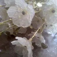 گلهای زیبای تزیینی