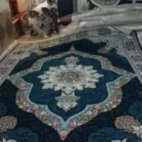 فرش دلبر|فرش|شیراز, شهرک رضوان|دیوار