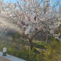 سمپاشی از صفر تا صد خانه