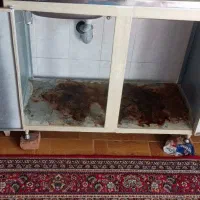 فروش آبچکان ،سینک زیر ظرف شویی