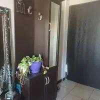 جاکفشی آینه دار