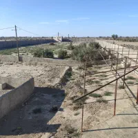 پرورش شتر مرغ و دامداری|اجارهٔ دفتر صنعتی، کشاورزی، تجاری|خمک, |دیوار