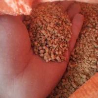 کنسانتره درجه یک مرغداری میلاد مهاباد