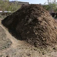 کود حیوانی
