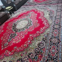 فرش طرح چیچک|فرش|شاهین دژ, |دیوار