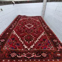 جفت جانقور شش متری|فرش|مراغه, |دیوار