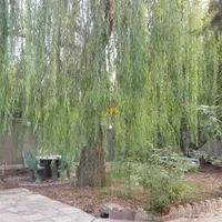 ۵۸متر جنوبی روبه آفتاب