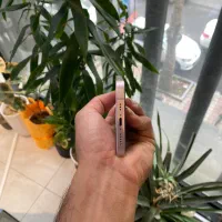 iphone13 normal|موبایل|رشت, لاکانی|دیوار