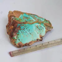 فیروزه نیشابوری