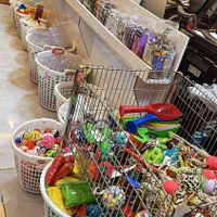 لوازم حیوانات خانگی و مزرعه|لوازم جانبی حیوانات|چالوس, |دیوار