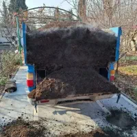 فروش کود گاوی و گوسفندی و کیسه ای وتحویل درب مزرعه