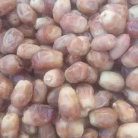 خرمای زاهدی