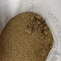 همکار فروش خانم با روابط بالا