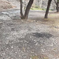 زمین باغ ویلا کنار رودخونه گلمکان جاده چشمه سبز|فروش زمین و ملک کلنگی|مشهد, شهید مطهری|دیوار