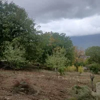 فروش زمین روستای سرسبز قورچای رامیان|فروش زمین و ملک کلنگی|رامیان, |دیوار