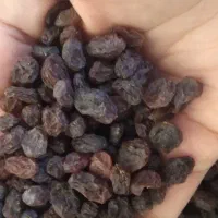 کشمش پلویی|خوردنی و آشامیدنی|رشت, توشیبا|دیوار