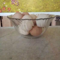 تخم مرغ بومی