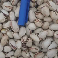 پسته پوک روابی درب منزل نقدن
