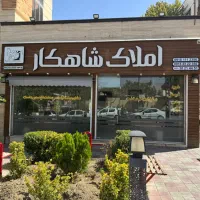 استخدام نیروی کار خانم و آقا