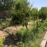 فروش باغچه ۷۰۰ و ۱۴۰۰ متری چهاردیواری ،اسلامشهر|فروش دفتر صنعتی، کشاورزی، تجاری|بهارستان, |دیوار