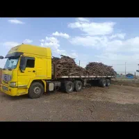 خریدار چوب انگور و ریشه|خدمات باغبانی و درختکاری|تاکستان, |دیوار