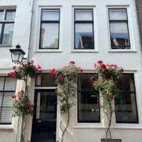 اجاره اپارتمان موقعیت اداری