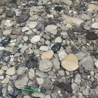 تدریس خصوصی ریاضی اول تا چهارم