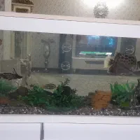 آکواریوم درقرچک