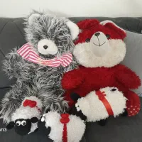 عروسک پولیشی