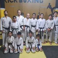 اموزش هنرهای رزمی (کاراته)