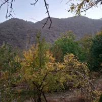 خانه باغ|فروش خانه و ویلا|درب بهشت, |دیوار