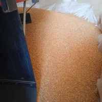 ذرت برزیلی وسویا