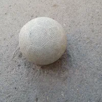 توپ|ورزش‌های توپی|قم, شهید صیاد شیرازی|دیوار