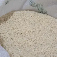 برنج  سدری هاشمی درجه یک