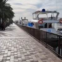 مجوز صیادی