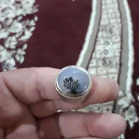 انگشتر شجر|جواهرات|نقده, |دیوار