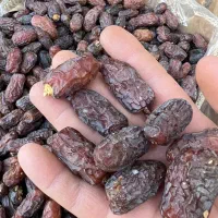 فروش  خرما از باغدار بدون واسطه|عمده‌فروشی|تهران, تختی|دیوار