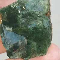 سبز خزه ای|کلکسیون و سرگرمی|تهران, شوش (باغ آذری)|دیوار