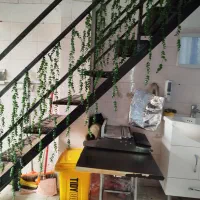 واگذاری آشپزخانه