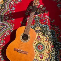 گیتار پارسی Parsi