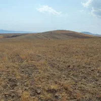 فروش زمین کشاورزی دیم|فروش دفتر صنعتی، کشاورزی، تجاری|میانه, |دیوار