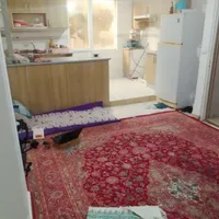 مهرآباد جنوبی ۵۰ متری فول نورگیر عالی|اجارهٔ آپارتمان|تهران, مهرآباد جنوبی|دیوار