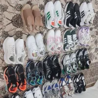 فروش تعدادی کفش تک سایزبه قیمت خرید