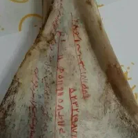 دعانویس مرشوش|خدمات پذیرایی، مراسم|مشهد, سناباد|دیوار