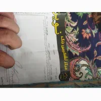 پژو 206|خودرو سواری و وانت|سبزوار, باهنر|دیوار