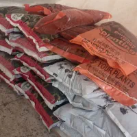 فروش پتوس ،بامبو.خاکبرگ و عود|گل و گیاه طبیعی|خورموج, |دیوار