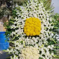 تاج گل|گل و گیاه طبیعی|شیراز, دارالرحمه|دیوار